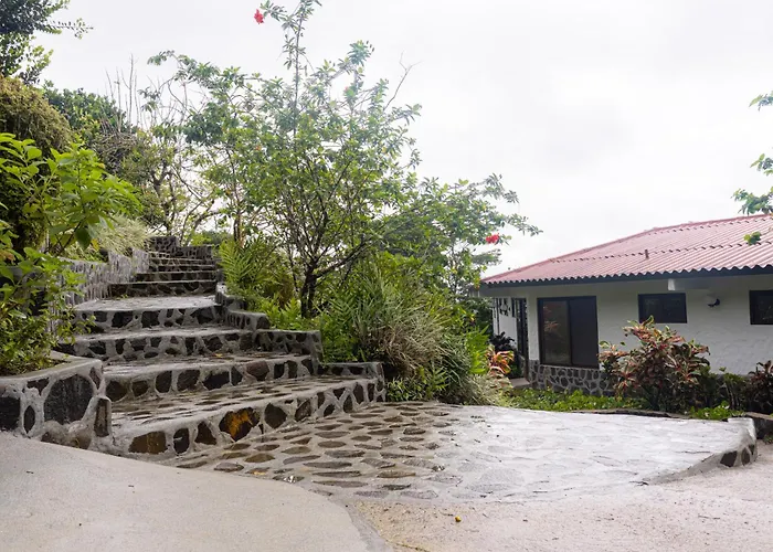 Hotel Alto Monte Hacienda & Spa - Only Adults